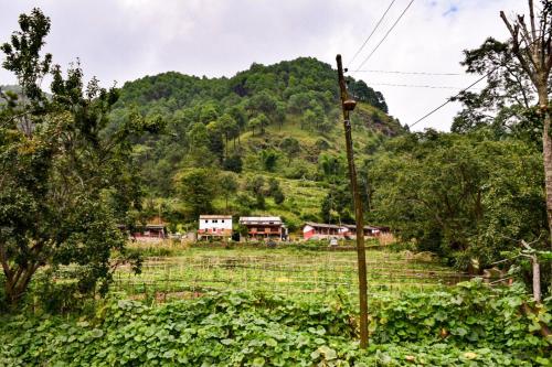 solid rock lodge and restaurant