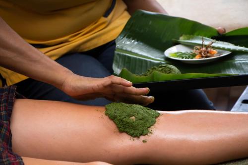 jasmin villa ayurveda resort