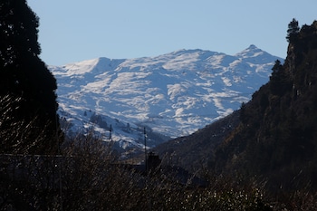 lomond lodge motel and apartments
