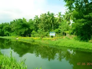 hingurakgoda