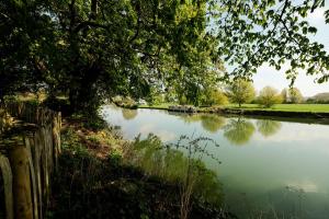 abingdon