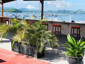 labuan bajo