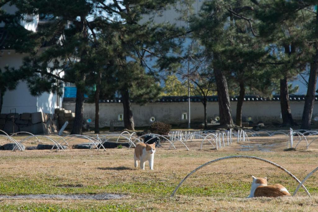 fukuyama royal hotel
