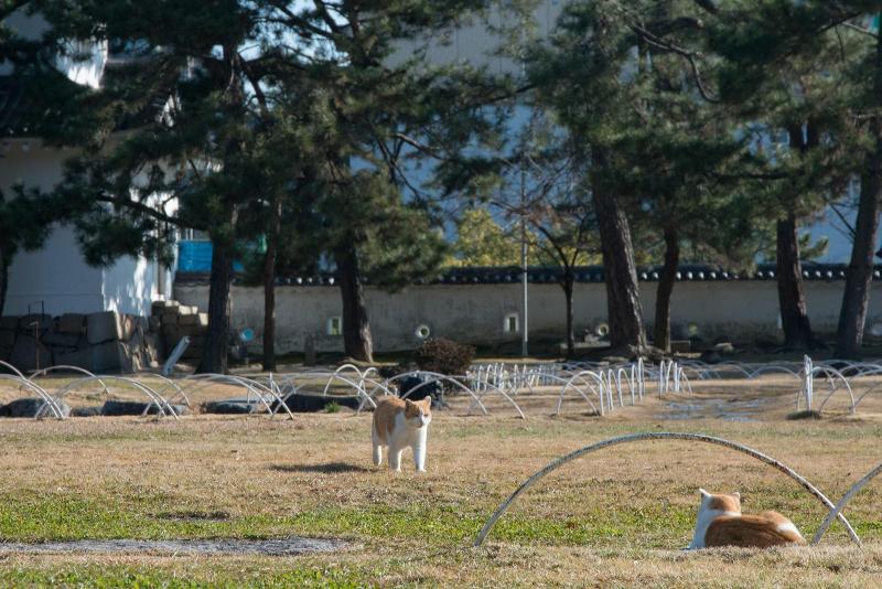 fukuyama royal hotel