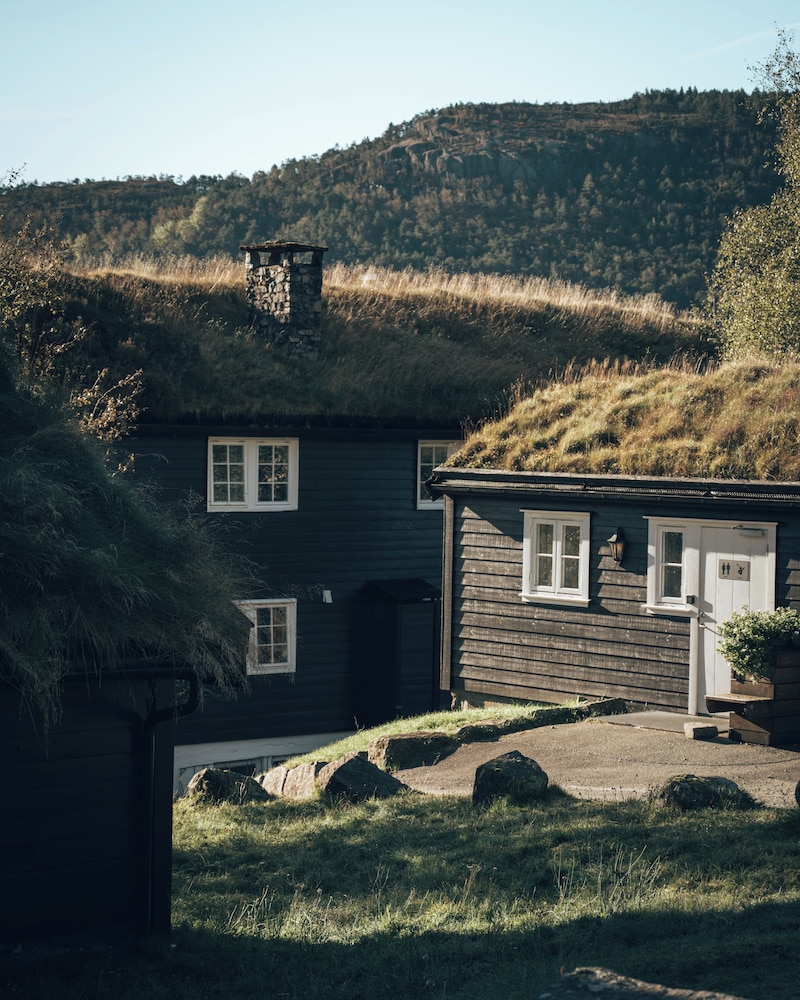 preikestolen basecamp