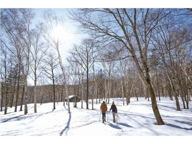 furano