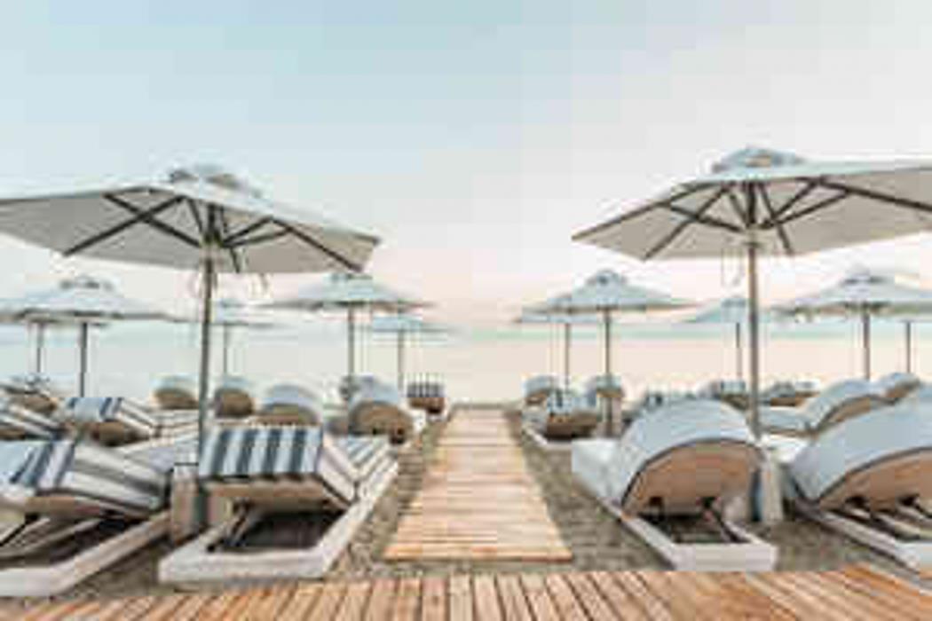 blue carpet luxury suites