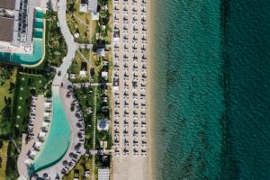 blue carpet luxury suites