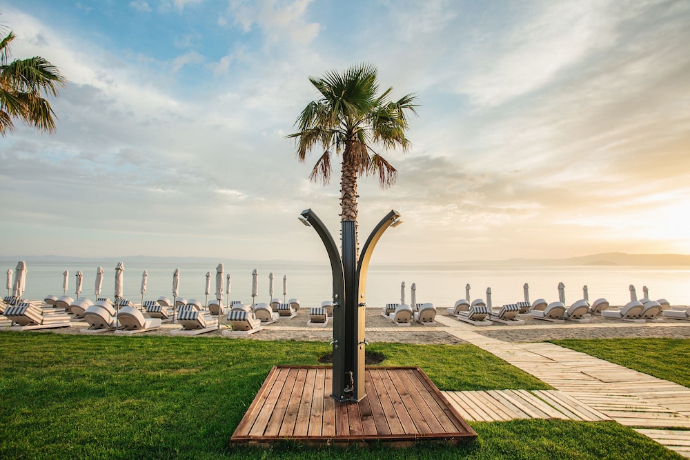 blue carpet luxury suites