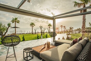 blue carpet luxury suites