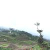 kbs sree paradise kodai