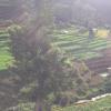kbs sree paradise kodai