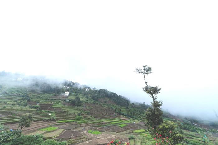 kbs sree paradise kodai