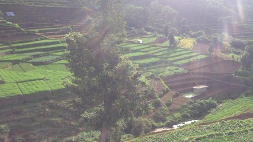 kbs sree paradise kodai