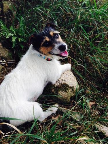 klostergartenhotel marienfliess