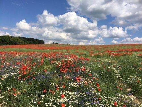 klostergartenhotel marienfliess