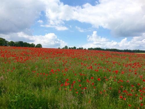 klostergartenhotel marienfliess