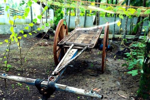 cotelac heritage lake resort alleppey