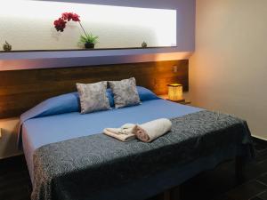 hotel posada comala