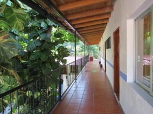 hotel posada comala