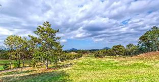 dalat lavita