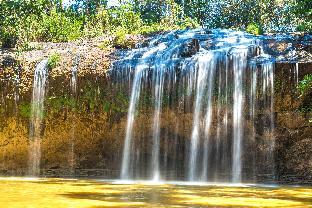 dalat lavita