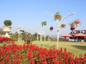 montana cotswolds resort