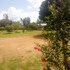 senior chief wambugu palace