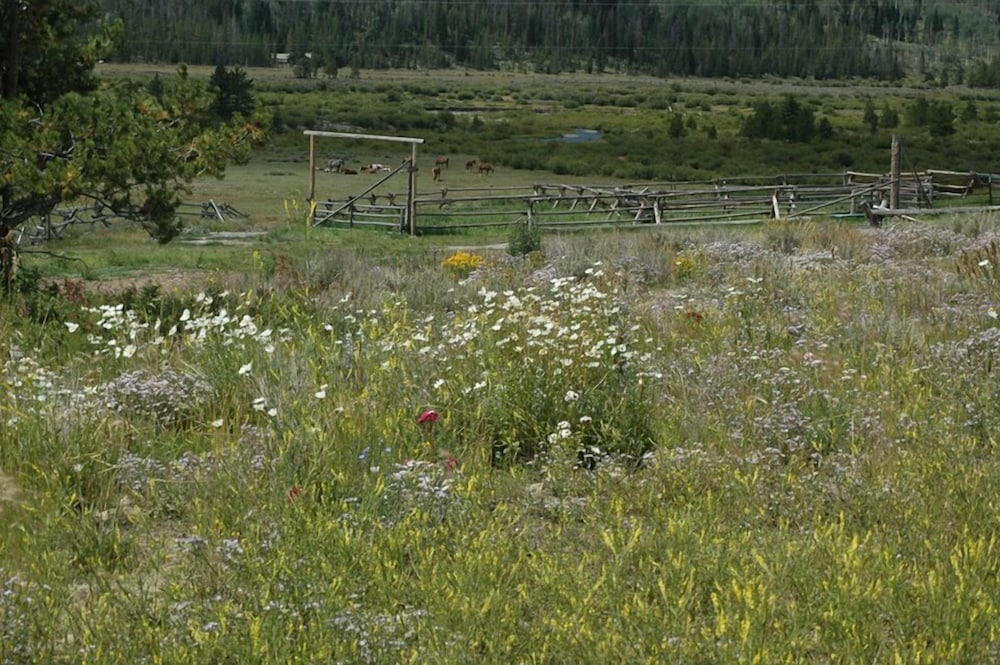 lava mountain lodge