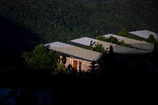 pino latte resort and hotel