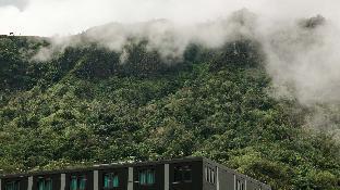 pino latte resort and hotel