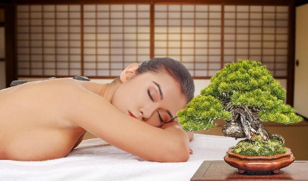 sai gon bac lieu hotel