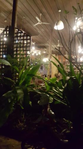 ruean mai chai khlong