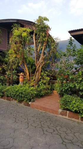 ruean mai chai khlong