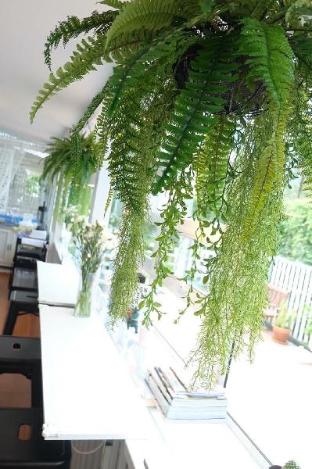 the white village ranong resort