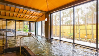 ooedo onsen monogatari atami