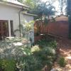 louis trichardt