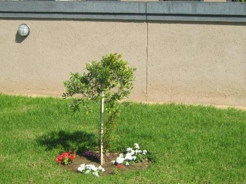 kulani country lodge