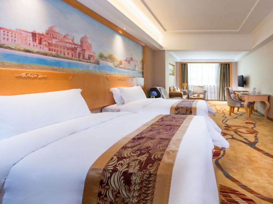 vienna international hotel shen zhen buji dafen shop