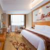 vienna international hotel shen zhen buji dafen shop