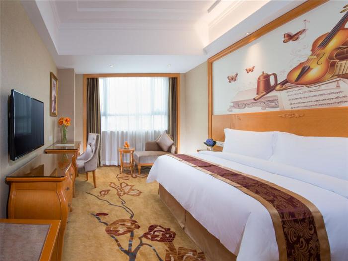 vienna international hotel shen zhen buji dafen shop