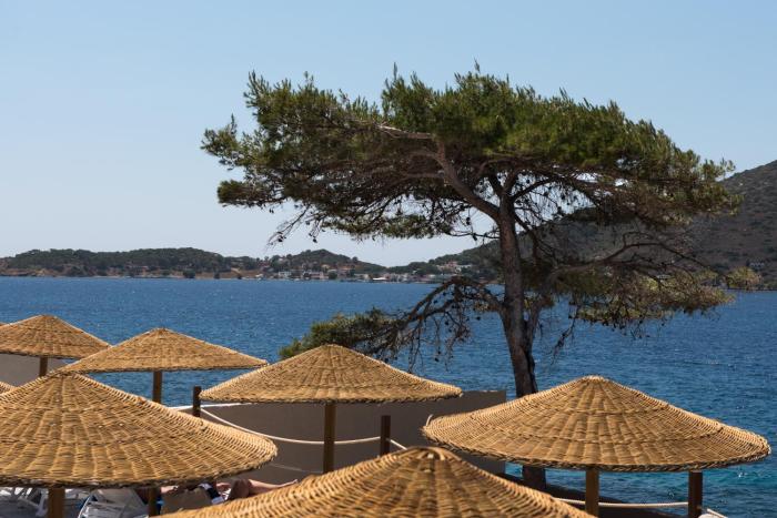 carian hotel