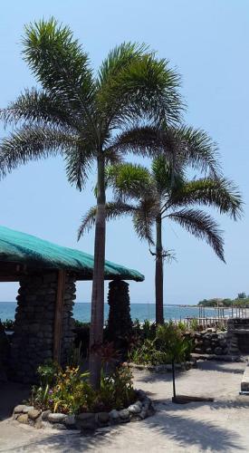 reddoorz white castle beach resort iba zambales