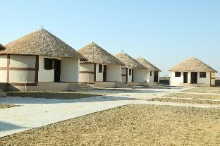 rann resort dholavira