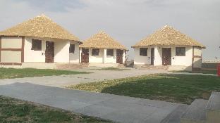 rann resort dholavira