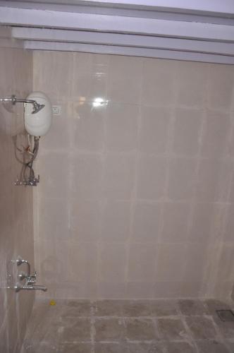 rann resort dholavira