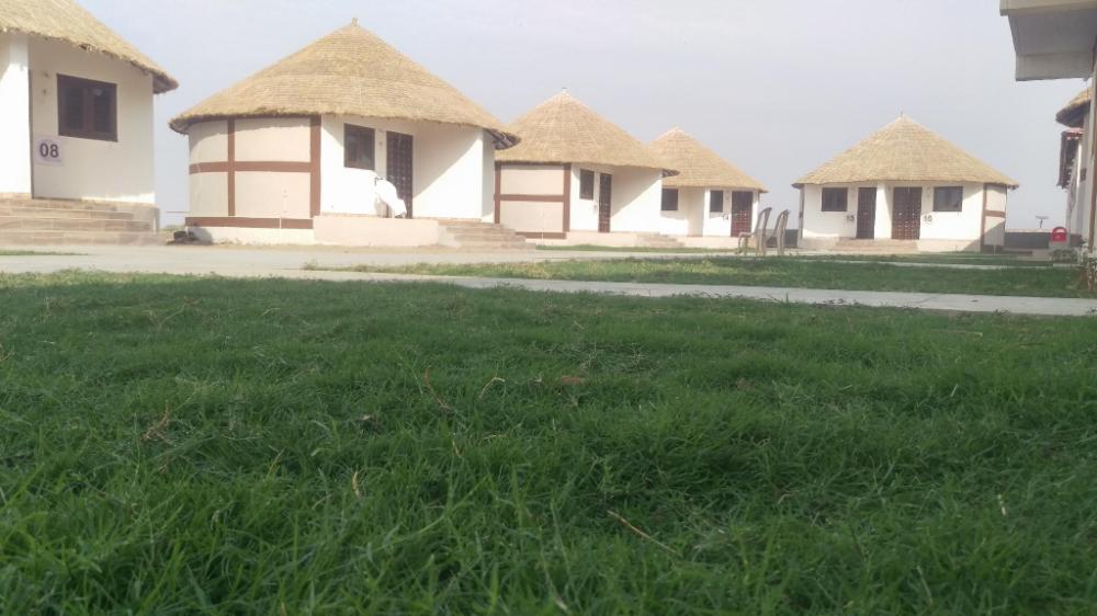 rann resort dholavira