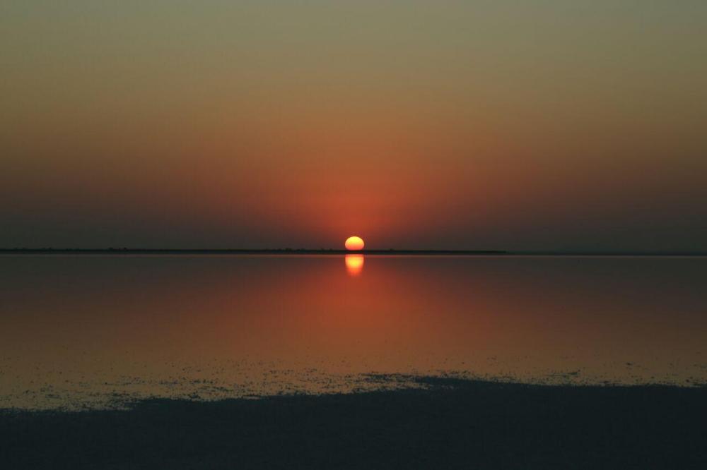 rann resort dholavira