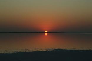 rann resort dholavira