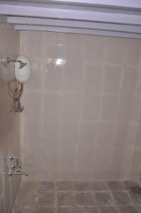 rann resort dholavira